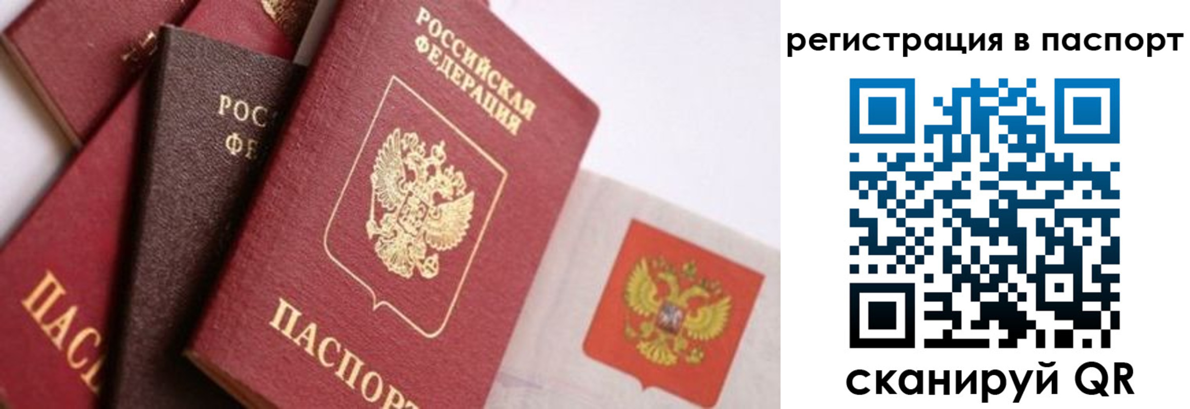прописка в квартире в Карасуке